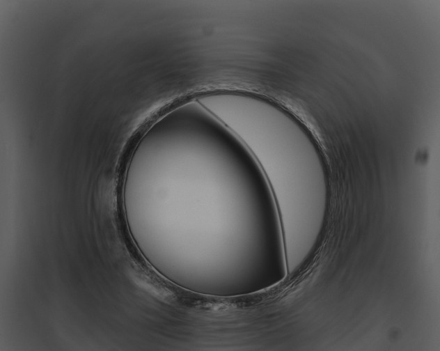 X0000095680395200801081108