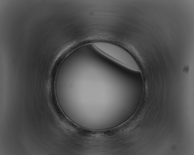 X0000095680396200801081108