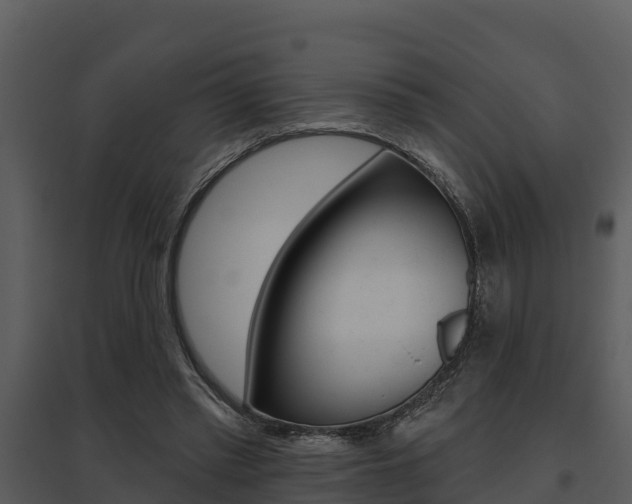 X0000095680397200801081108