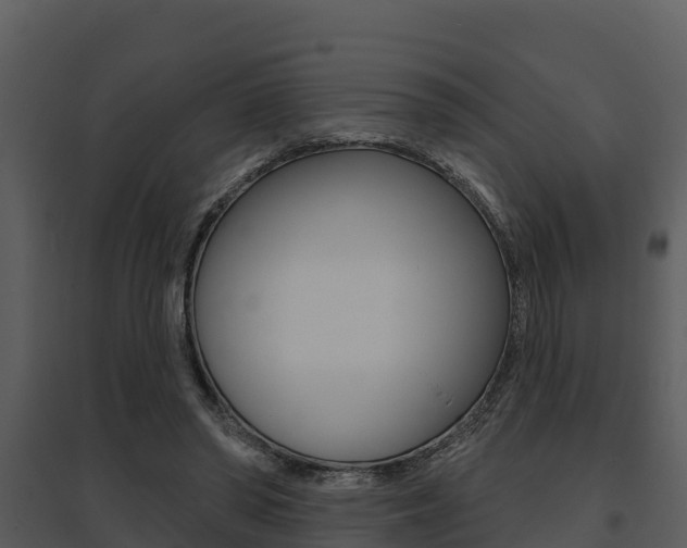 X0000095680398200801081108