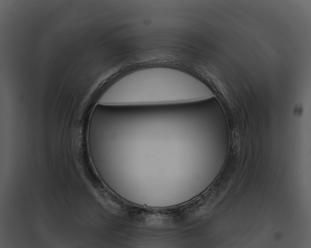 X0000095680400200801081108