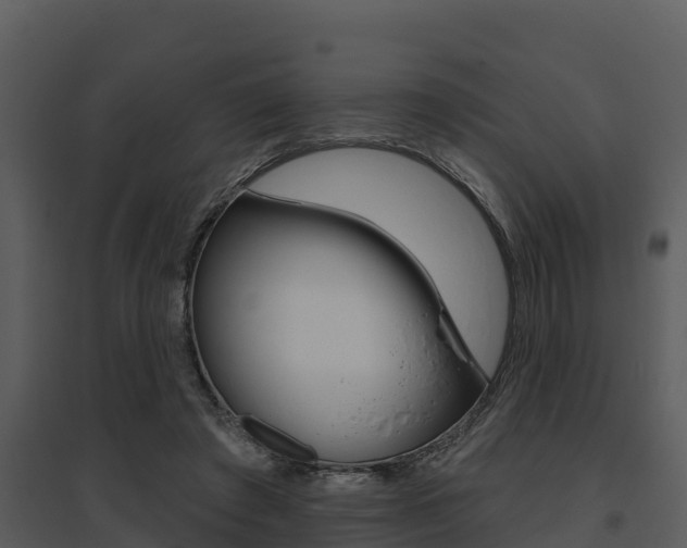 X0000095680401200801081108