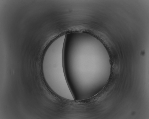 X0000095680403200801081108