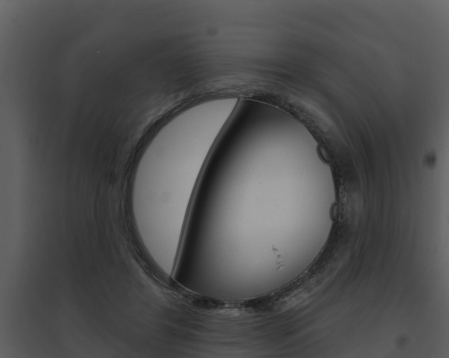 X0000095680404200801081108