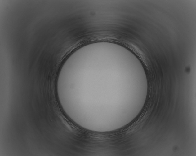 X0000095680405200801081108