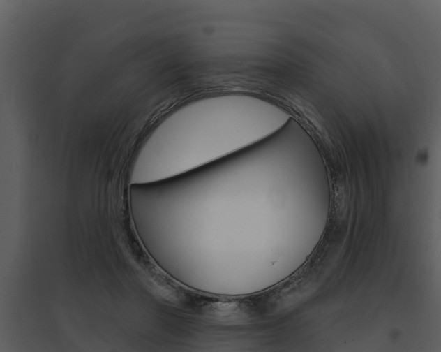 X0000095680406200801081108