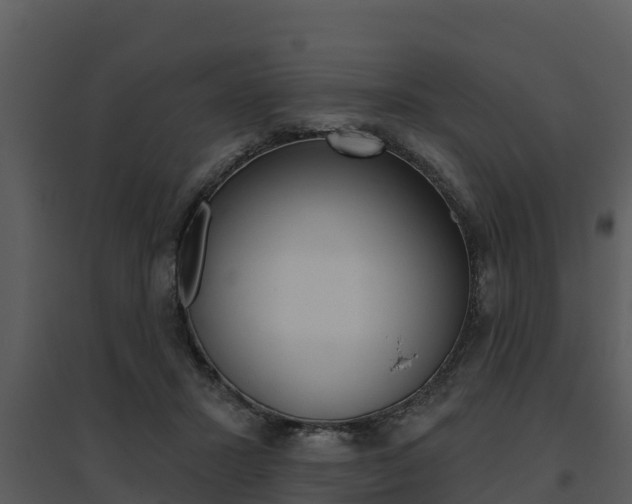 X0000095680407200801081108