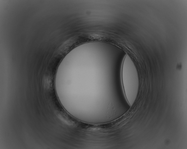 X0000095680408200801081107