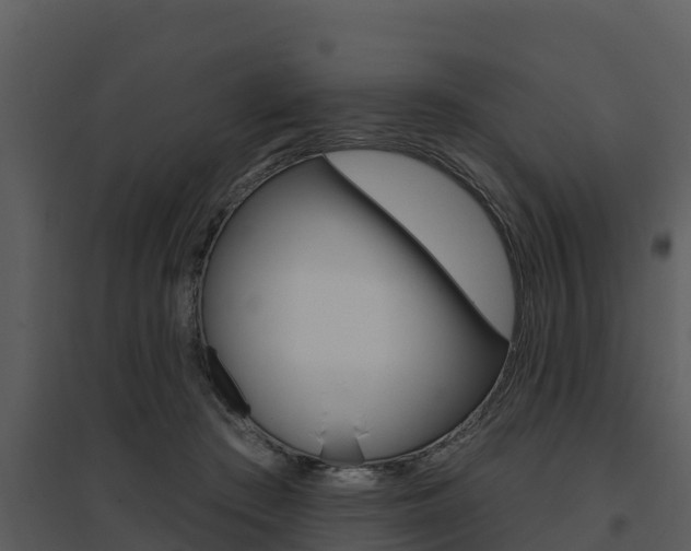 X0000095680409200801081107