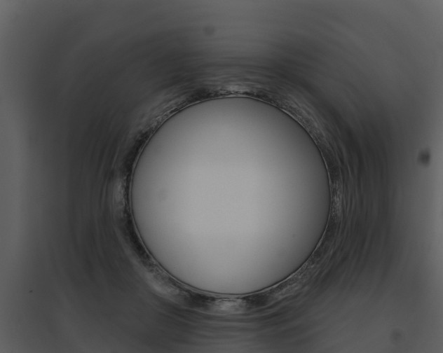 X0000095680410200801081107