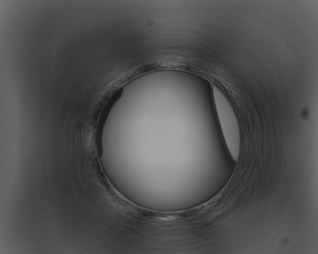 X0000095680411200801081107