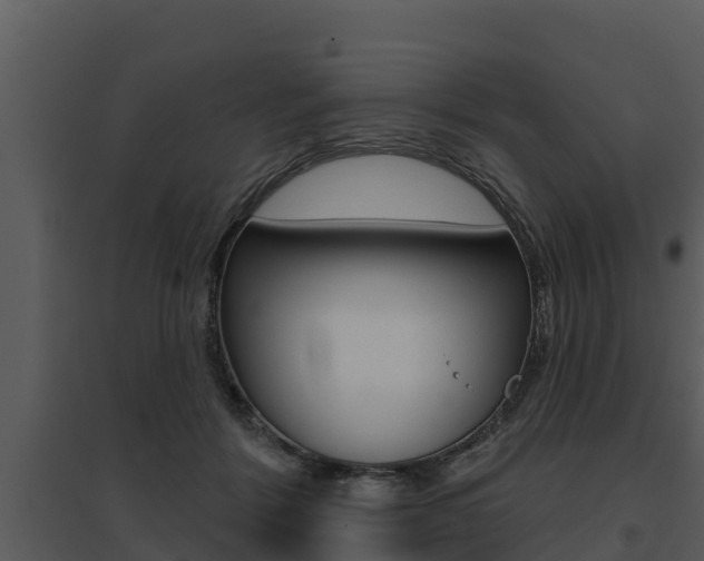 X0000095680412200801081107
