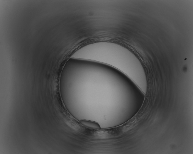 X0000095680413200801081107