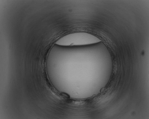 X0000095680414200801081107