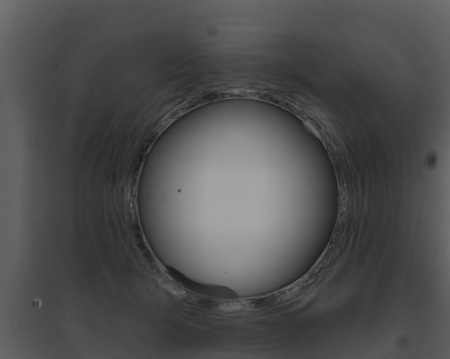 X0000095680415200801081107