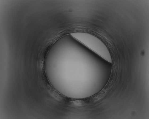 X0000095680417200801081107