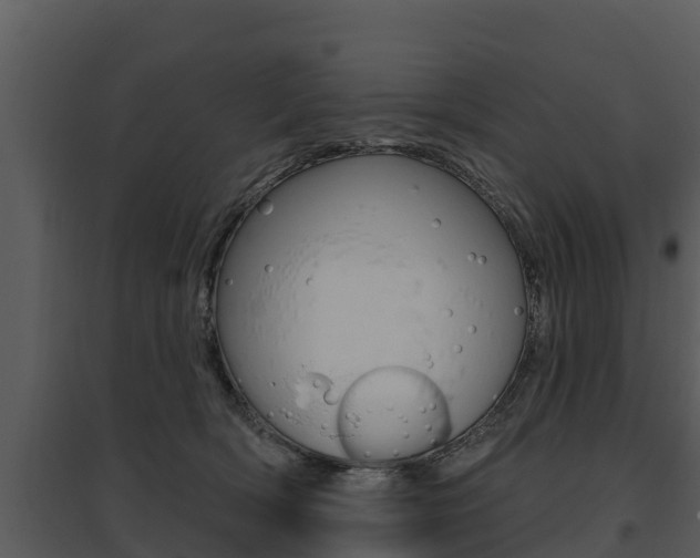 X0000095680418200801081107