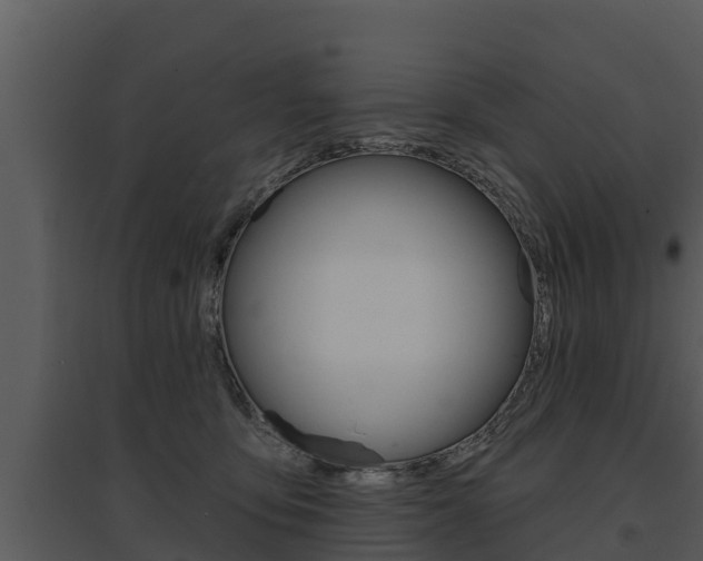 X0000095680419200801081107