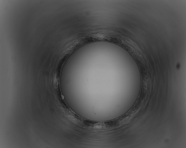 X0000095680420200801081107