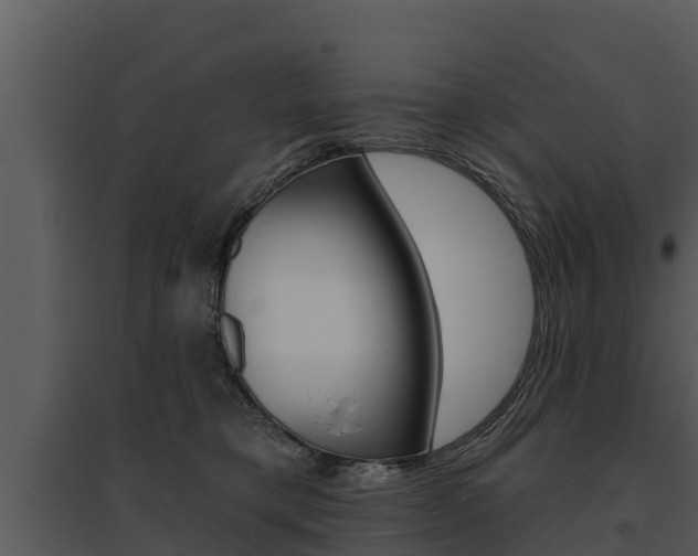 X0000095680421200801081107
