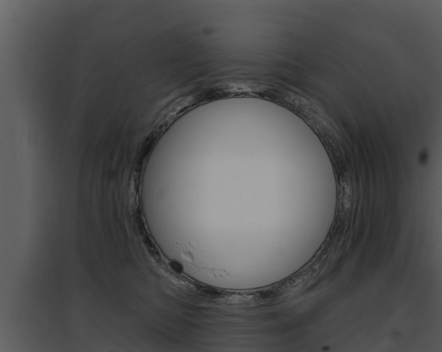 X0000095680422200801081107