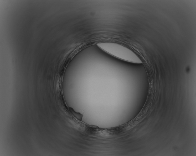 X0000095680423200801081107