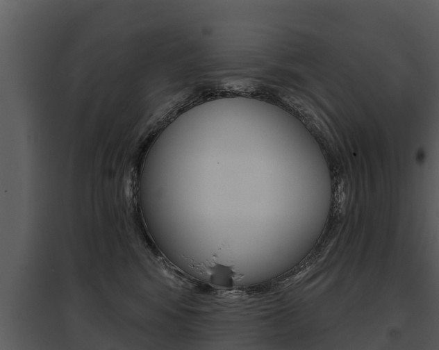 X0000095680424200801081107