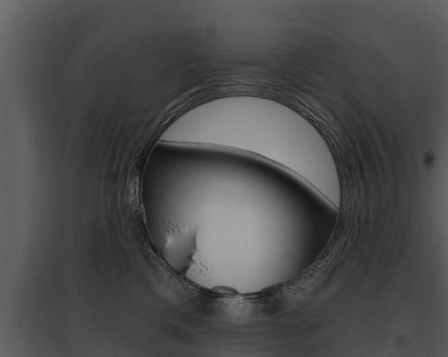 X0000095680425200801081107