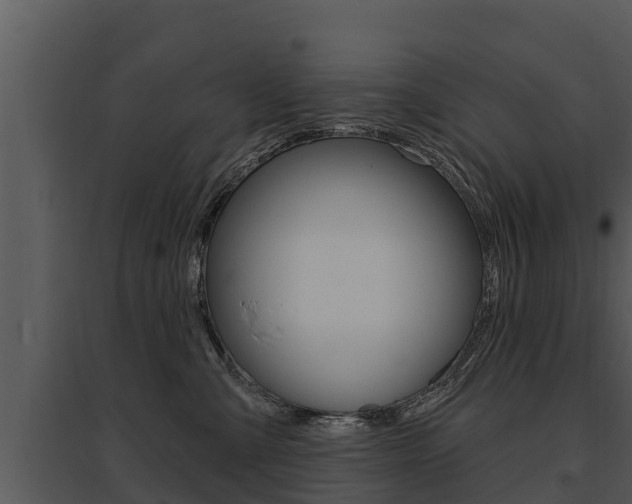 X0000095680427200801081107