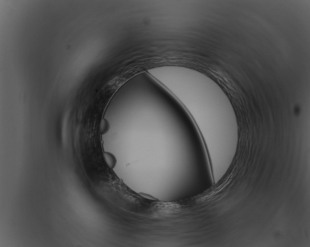 X0000095680429200801081107