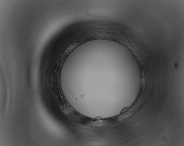 X0000095680430200801081107