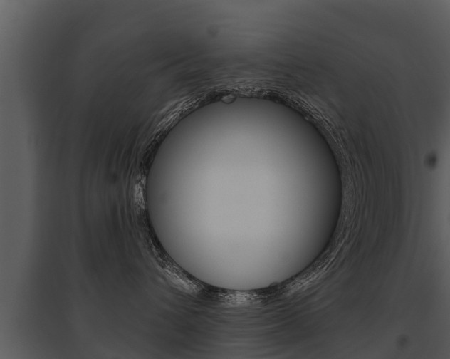 X0000095680432200801081107
