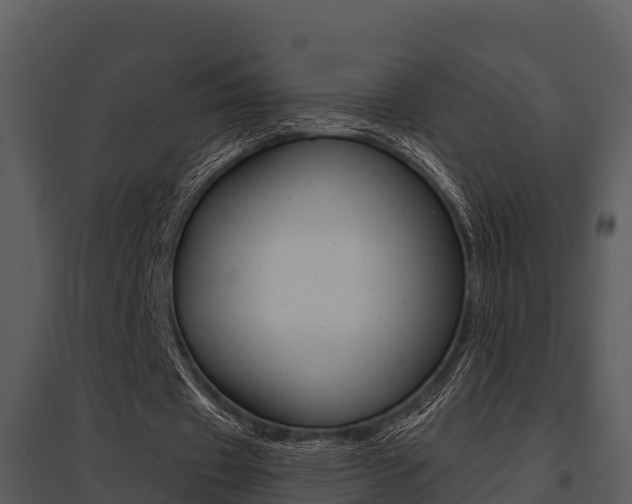 X0000095680433200801081106