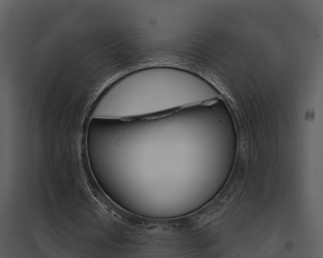 X0000095680434200801081107