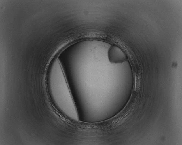X0000095680435200801081107