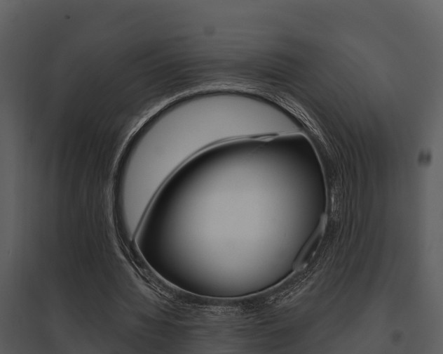 X0000095680436200801081107