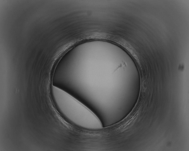 X0000095680437200801081107