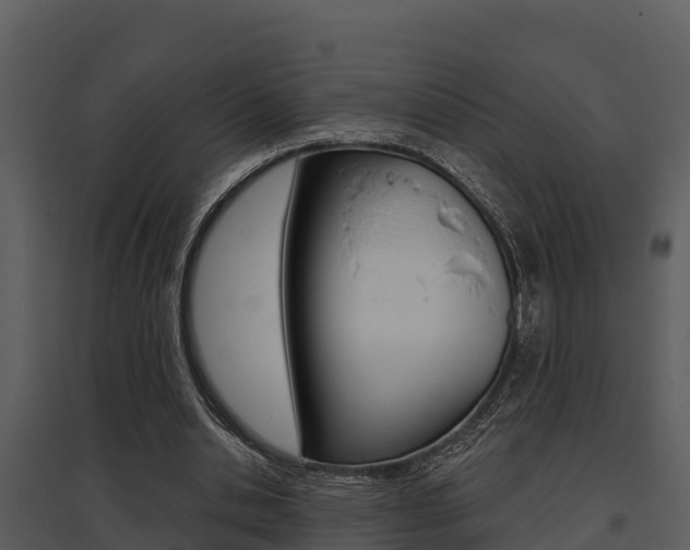 X0000095680438200801081107