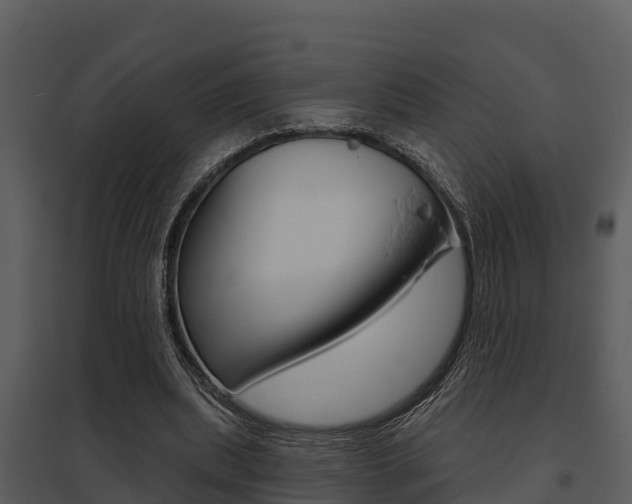 X0000095680439200801081107
