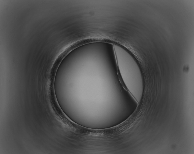 X0000095680440200801081107