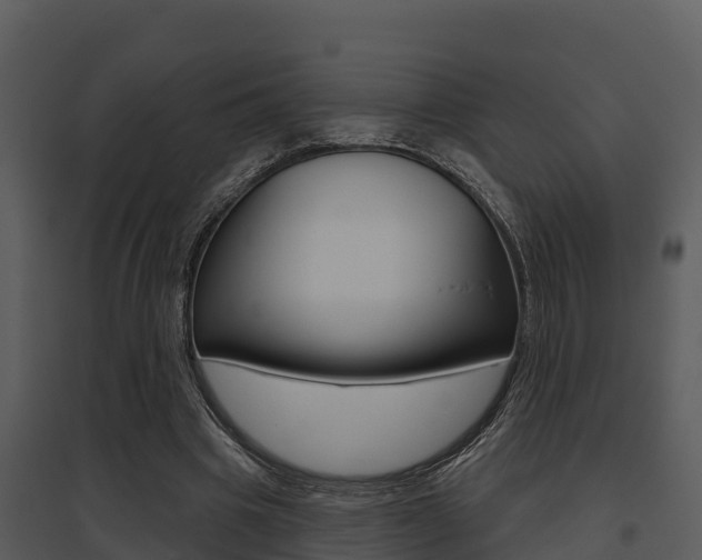 X0000095680441200801081107