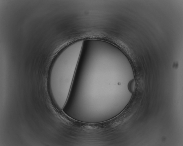 X0000095680442200801081107
