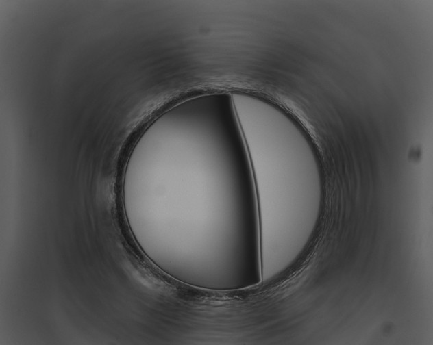 X0000095680443200801081107