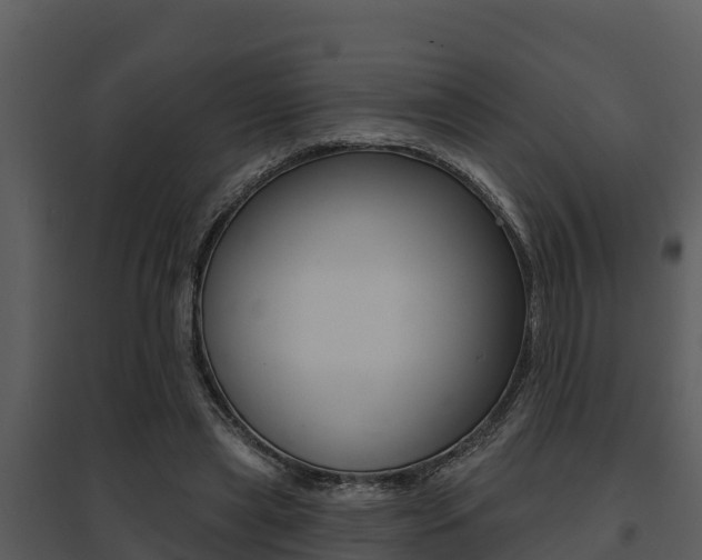 X0000095680445200801081107