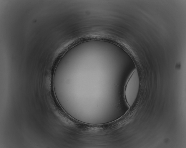 X0000095680446200801081107