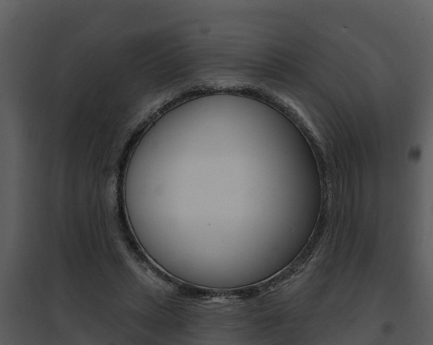 X0000095680447200801081107