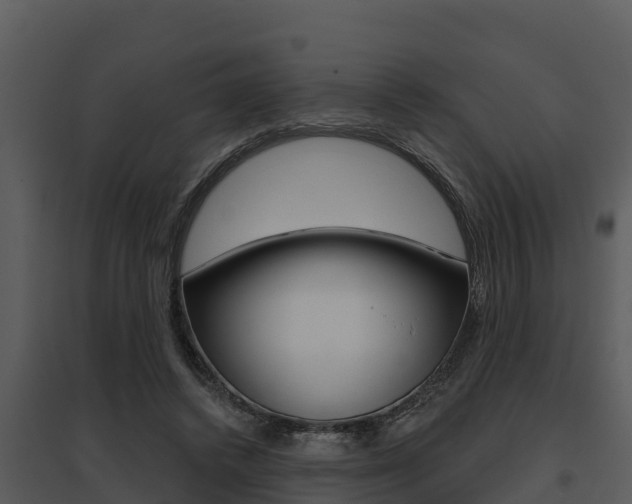 X0000095680448200801081107