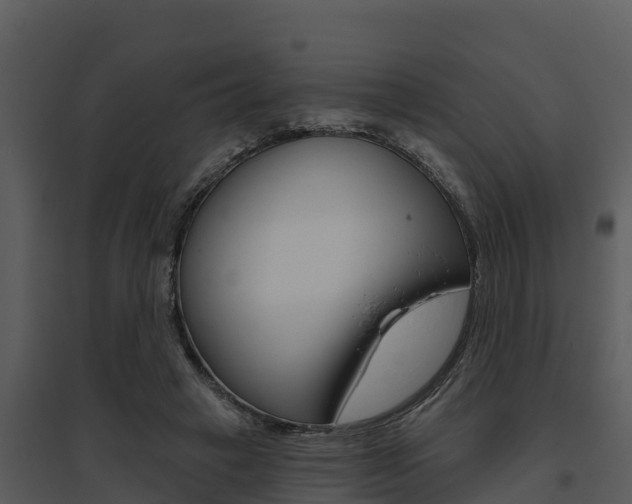 X0000095680449200801081107