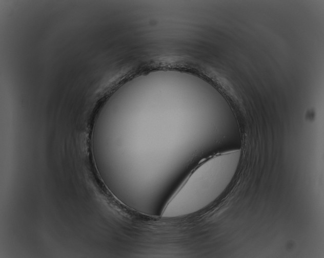 X0000095680450200801081107
