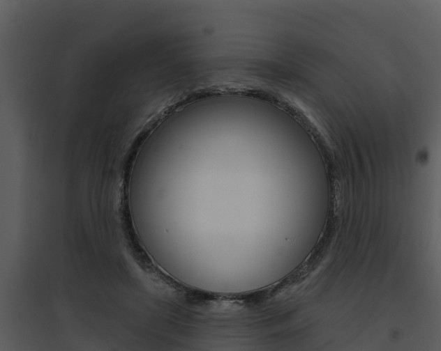 X0000095680451200801081107